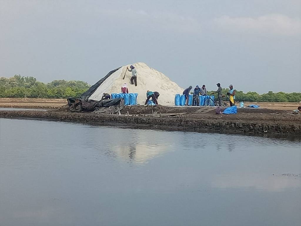 Harga Garam Turun, Petani Berharap Pemerintah Turun Tangan